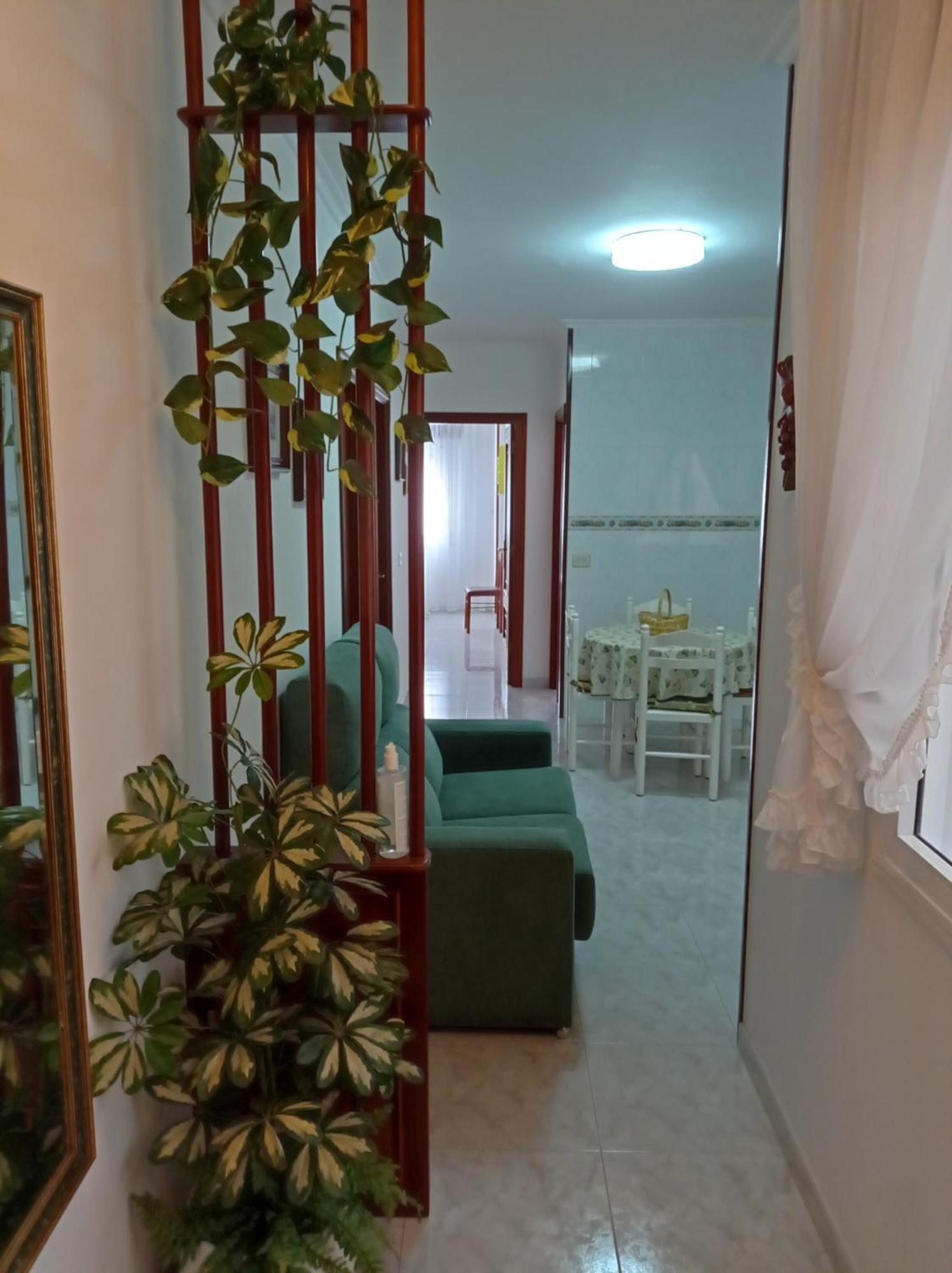 Апартаменты Acogedor Apartamento Centrico Эль-Грове Экстерьер фото